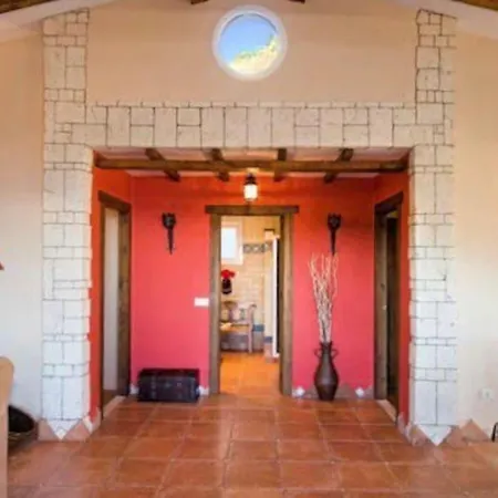 Casanova * ネルハ